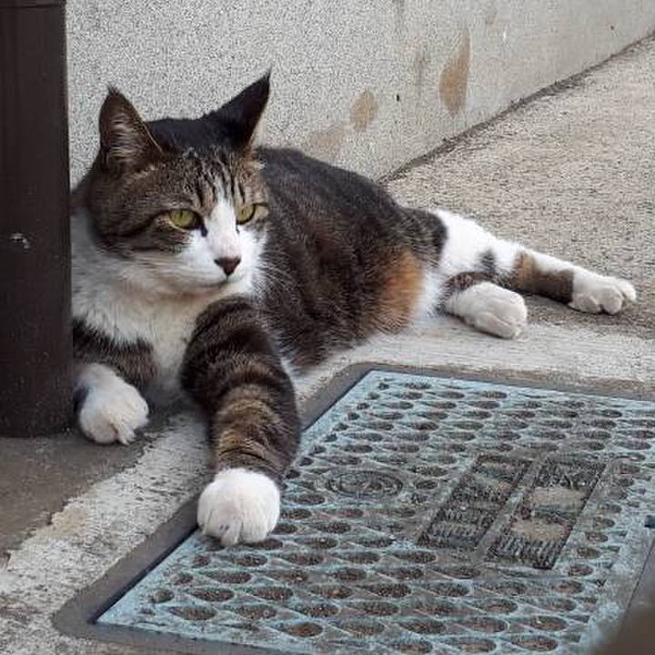 6ab9b6b4 d4e3 40c5 bef6 a2b0e315dc2d 1525865792940