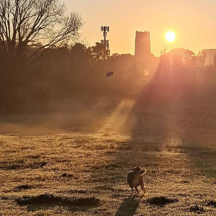 6ab9ec45 8dbc 4a7b aea4 58f650a174f6 1758574917156