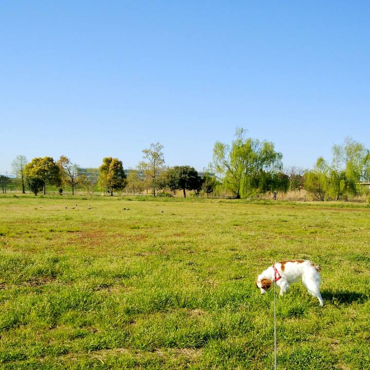 6ab9f618 49eb 473f 9335 bf8ec5229109 1555115030127