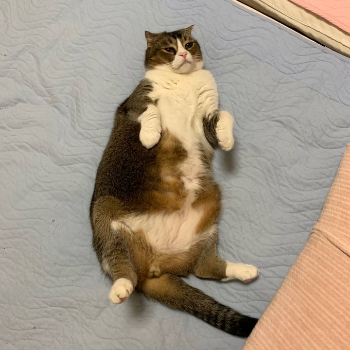 6aba3b2b c3b8 4849 a5de 81ccfc5ac30f 1566918623640