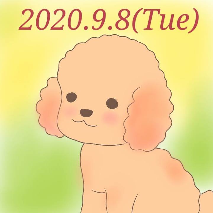 6aba4484 ce73 4ed3 816a 0b5f4b393f29 1599563190109