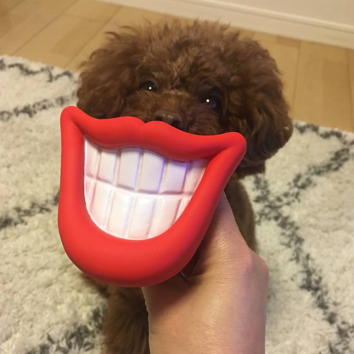 6aba4e06 f208 4f34 ae69 dd4031d65395 1521755794132