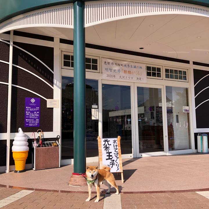 6aba583c a089 4bd9 b739 80da94f22848 1554463902203