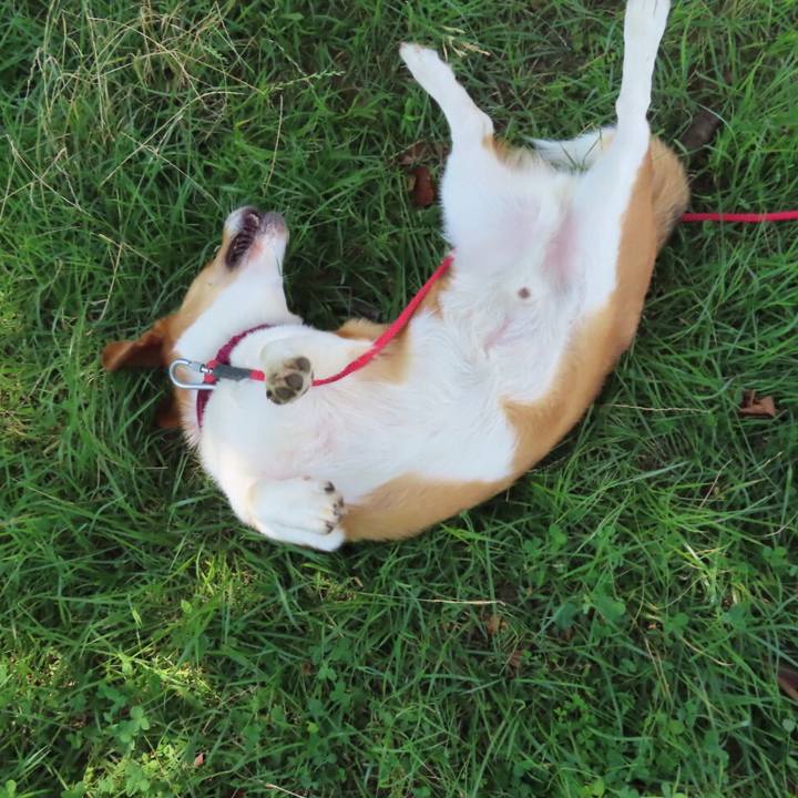 6aba7d56 2c2b 4a33 8ae3 c2749f103aa9 1627600382013