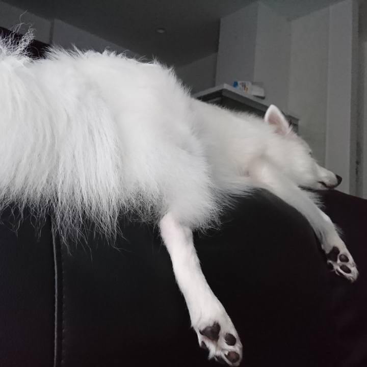 6aba81b4 401b 42f2 8244 f7c9998ef327 1536904279963