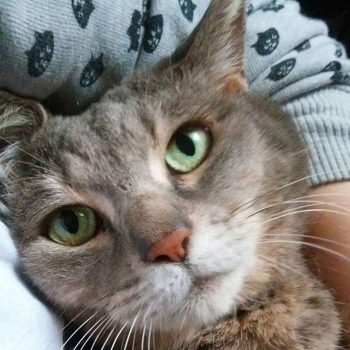 6aba842c 3b5f 4972 b4f9 bf5dea89cb74 1522655852703