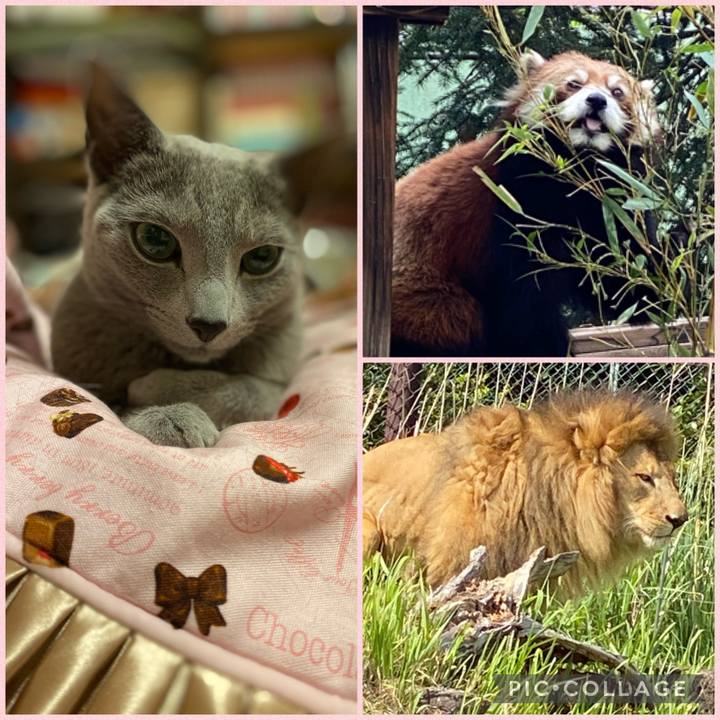 6aba8765 c7fe 43d8 9f85 f5cc195351bc 1683119782216