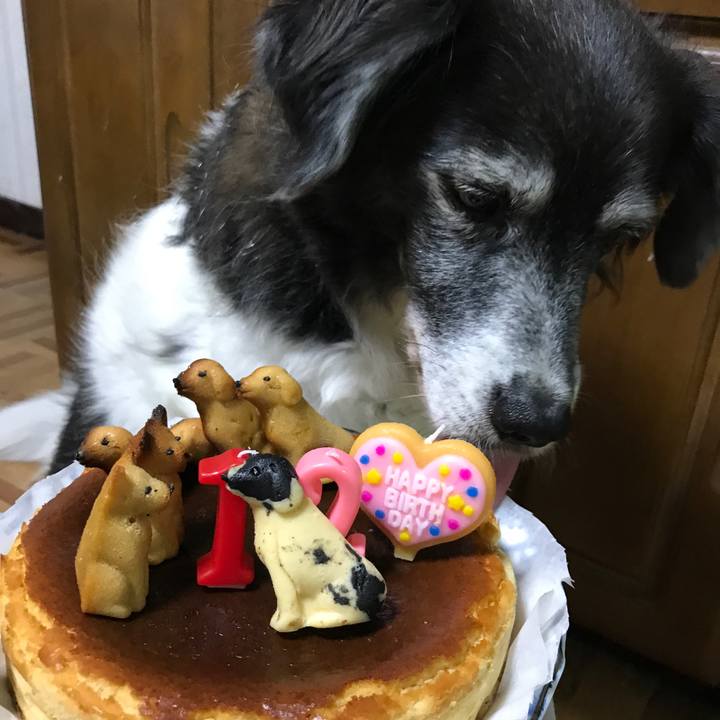 6aba9e2d 16c5 4f9a b592 7956312940b5 1535437325824