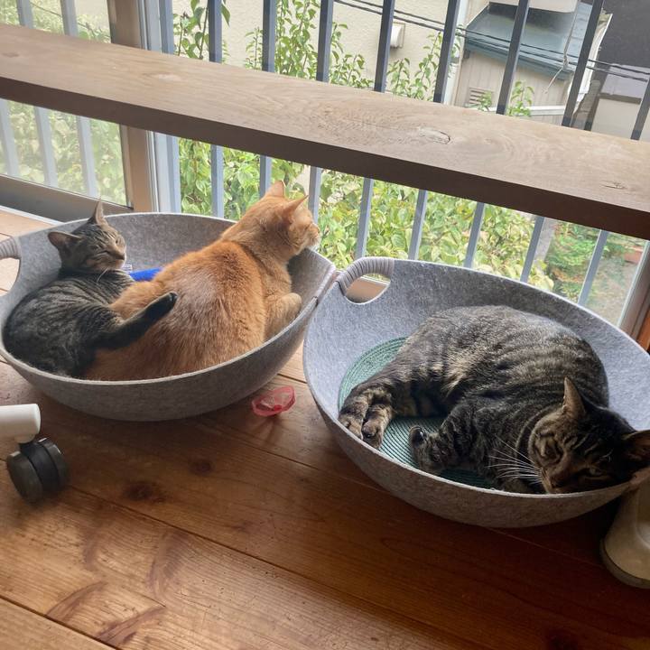 6abab0c8 916e 41a4 98c9 f42709ce4ae9 1666502967526