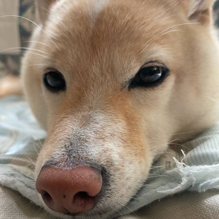 6abb2c05 95a7 414b a57a 6ff742ec7999 1660612000932