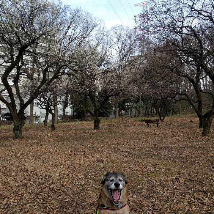 6abb61f1 1b3d 45b9 bcc3 3a1c5b1a8680 1551054199756