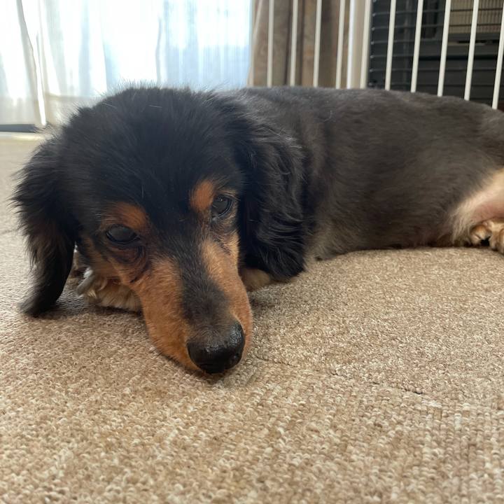 6abb68f5 ae0a 4b08 8b61 e531fb69e6d3 1617746260228