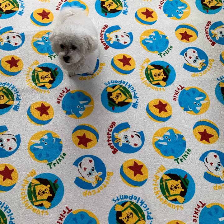 6abb6909 0832 4c99 970f cfdf4f18b9fe 1562541095373