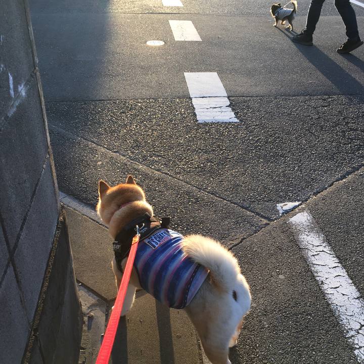 6abb6b61 7b26 40d5 97b9 3861bf80801e 1576829811883