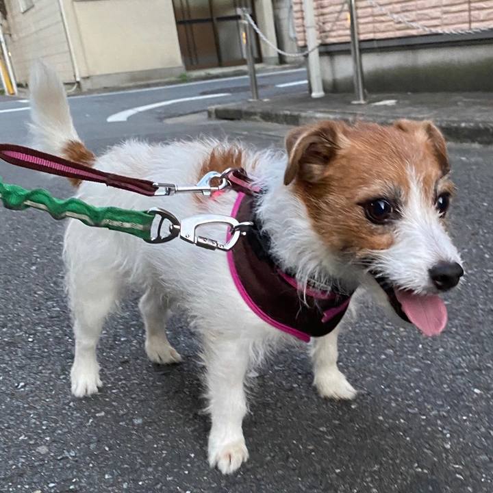 6abbb135 8c82 43b3 8043 98c32586dda6 1617596422047