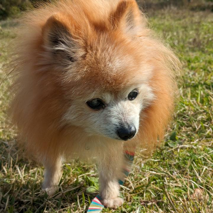 6abbc8b5 caac 45ee 8cb1 78ee904cee1a 1713088456064