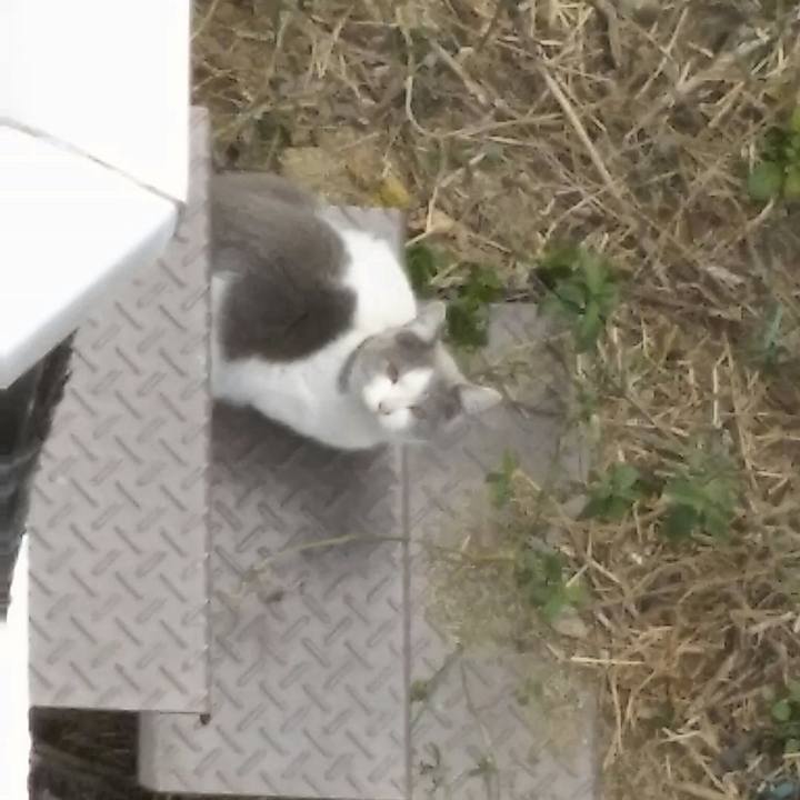 6abbfc95 5142 4b6f a293 ea8c15910ae1 1519773318752