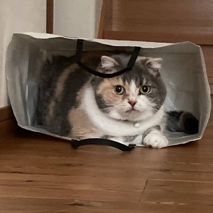 6abc0801 dade 4de5 9356 d85375d0b2ca 1601633810859