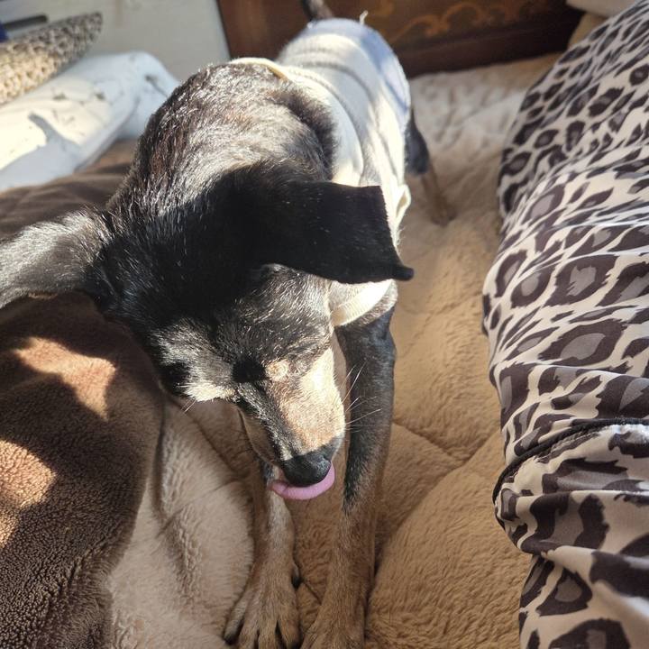 6abc132c 6880 4fa5 8747 9d4e78a895e0 1769240346042