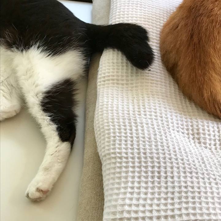 6abc2691 fe5e 498a 9303 4bf3e21da36e 1557558707357