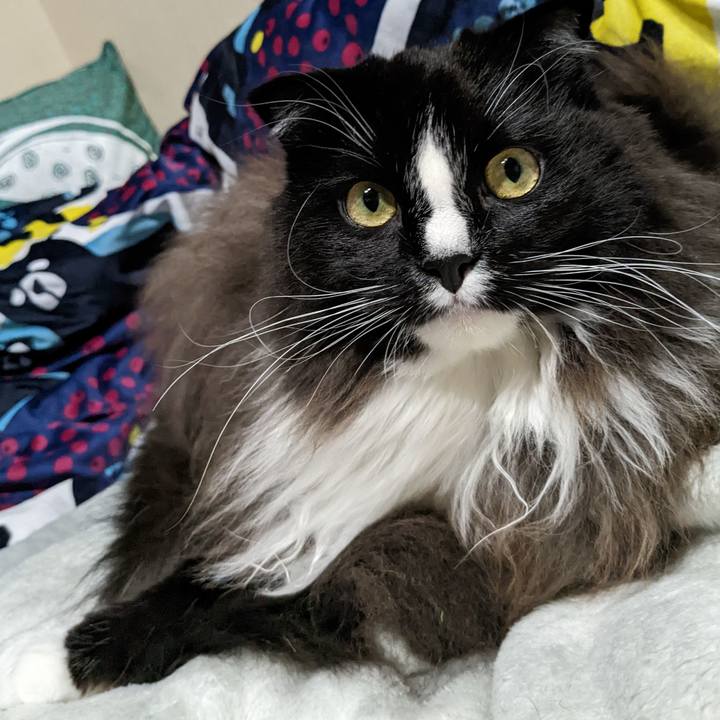 6abc5fc8 484b 425d b30c 2a1291d0fc3f 1669348136087