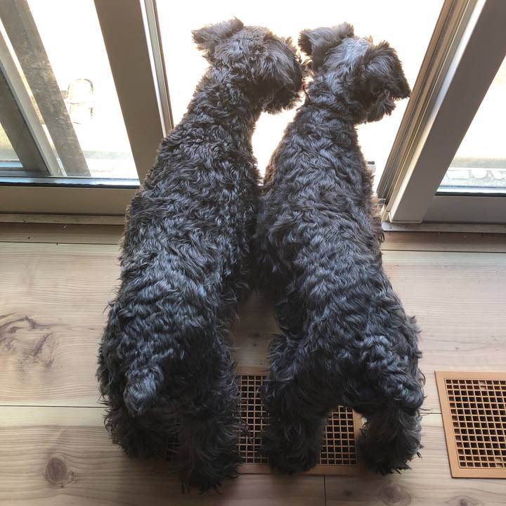 6abc94db 2d94 4752 b53a e856044a9c27 1588311803002