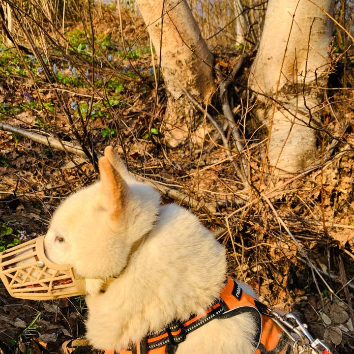 6abc9547 567f 41bb 8b21 fa0eb0e20bed 1619471585561