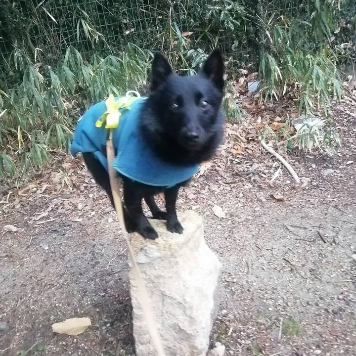 6abca837 ad2a 45a6 ac06 09342b53bba2 1643234880208