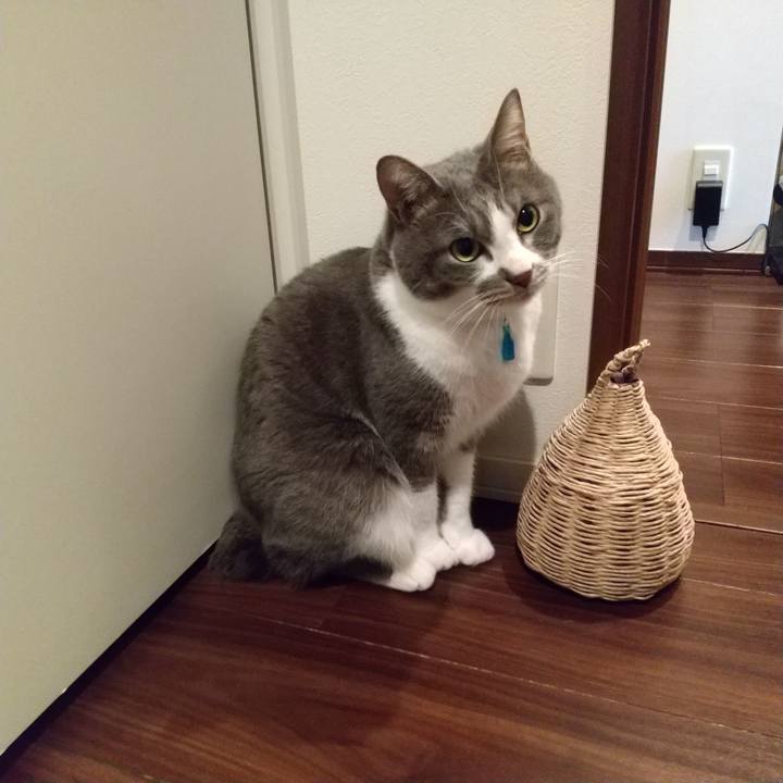 6abcb9f6 adf0 40a3 9ab9 0223f145738a 1645569932351