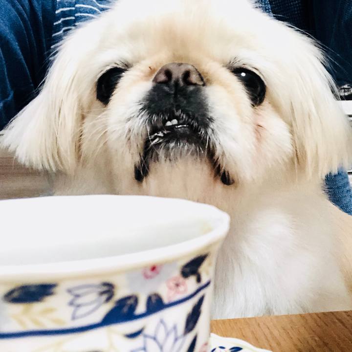 6abcba9a bd8e 4726 97a2 88165d963e99 1587537681732