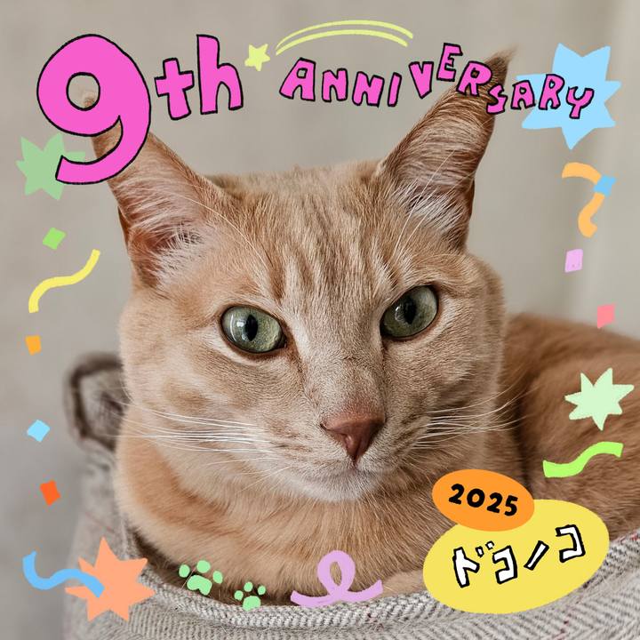 6abcc0d2 ce77 4193 b72e 8db9adcfa485 1749291264501