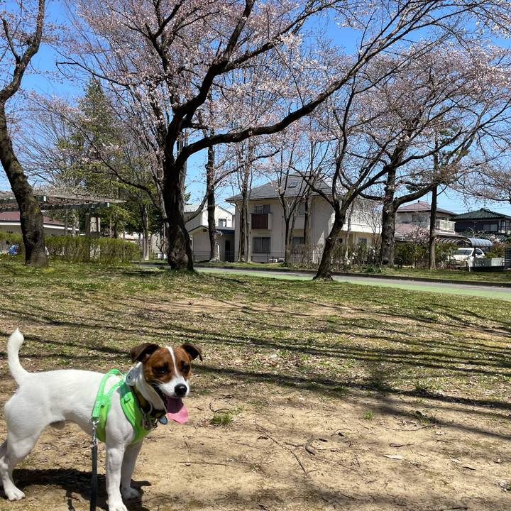 6abd0854 0cfe 4e1a b357 a550a8ae88ac 1649500840263