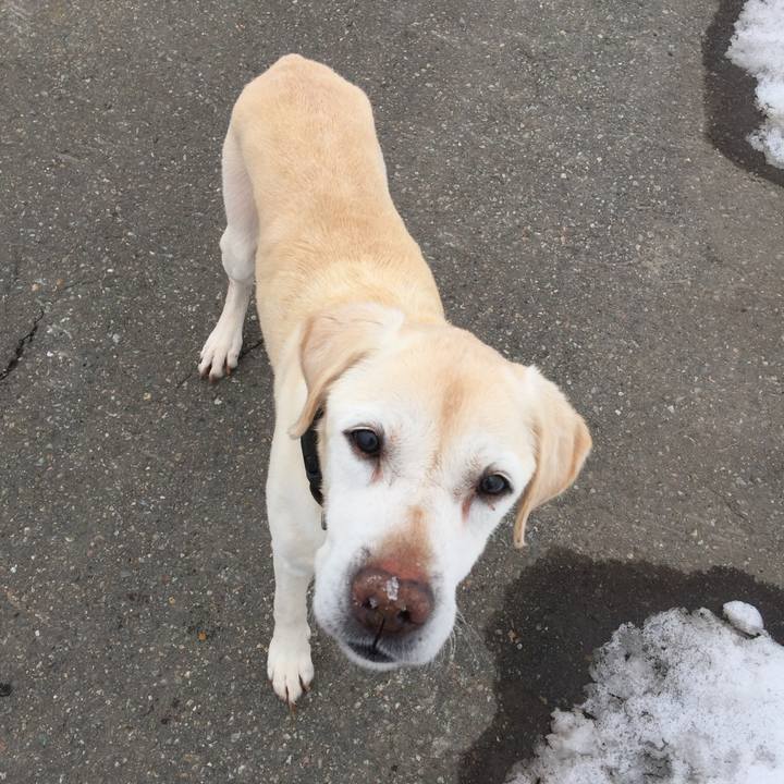 6abd18aa 4eb4 413b 8b30 c3c5db97afa0 1519109926708