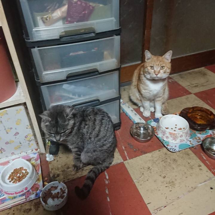 6abd9d92 d9c5 4fc9 a1af 8de1ad370bb6 1584608102590