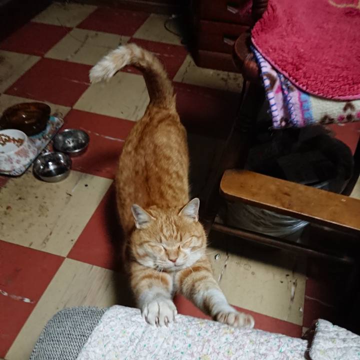 6abdc677 8711 4b28 99a3 6f386c32e873 1581885878147