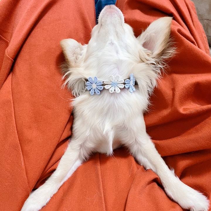 6abdf447 f5cd 4ed2 b489 57e53fa59915 1617406626061