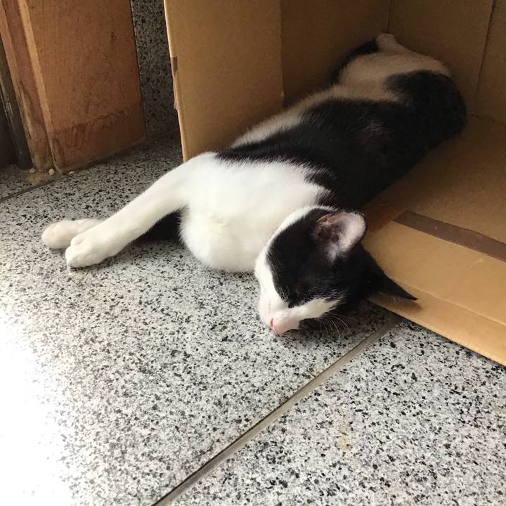 6abdfd17 f03d 4595 8d63 9f576e955753 1630213462797