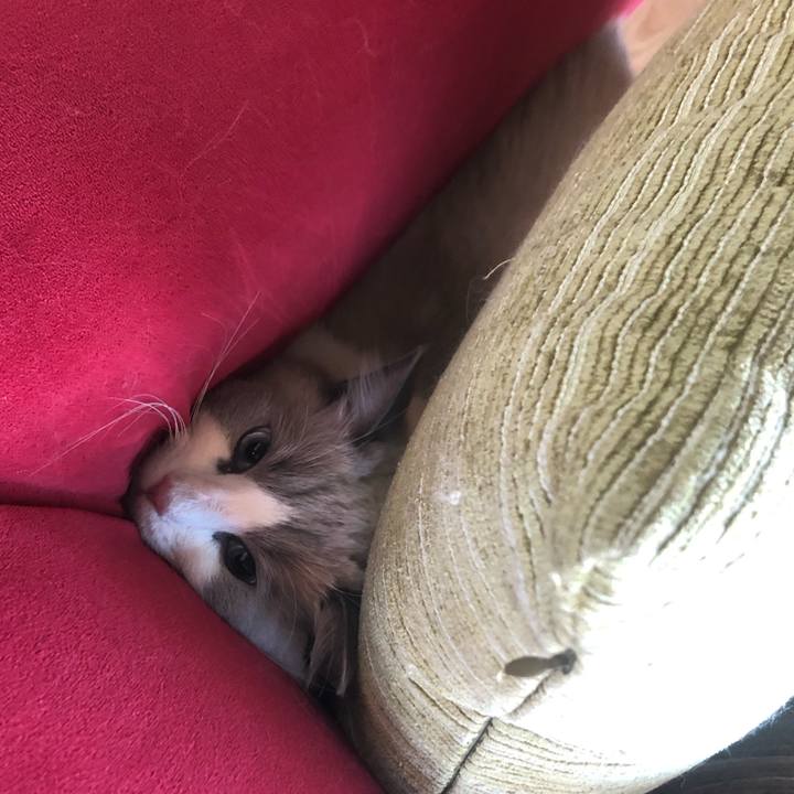 6abe976b 74f7 4245 a285 1bb0411b6c8b 1605617531081