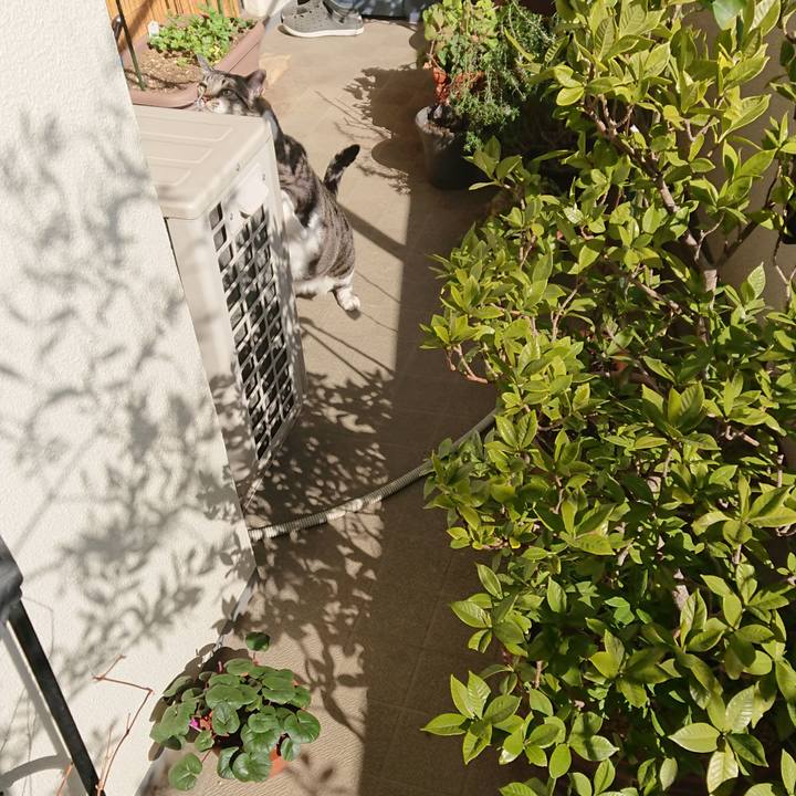 6abea7d4 3ee7 4492 a18e d70c44db8b42 1550791546601