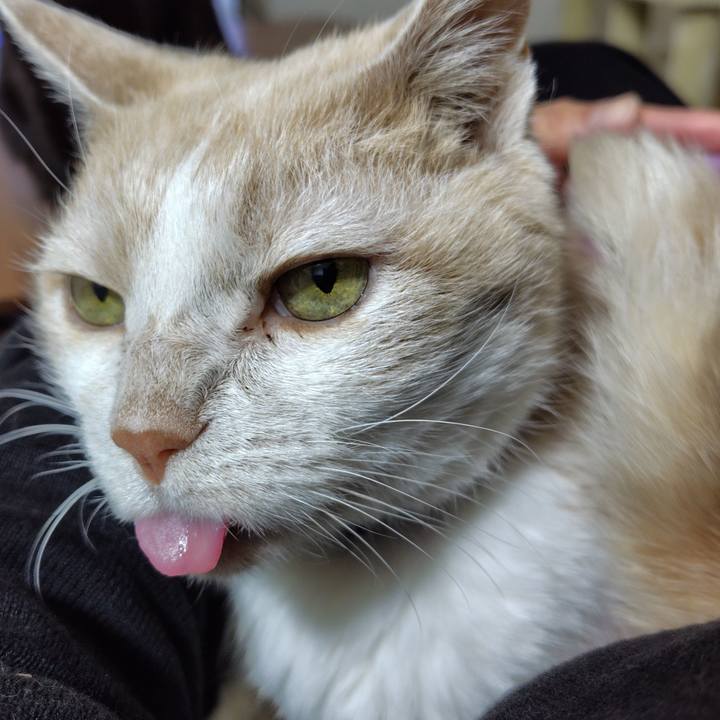 6abec660 6497 454b b034 b42a9353aec6 1744802163188