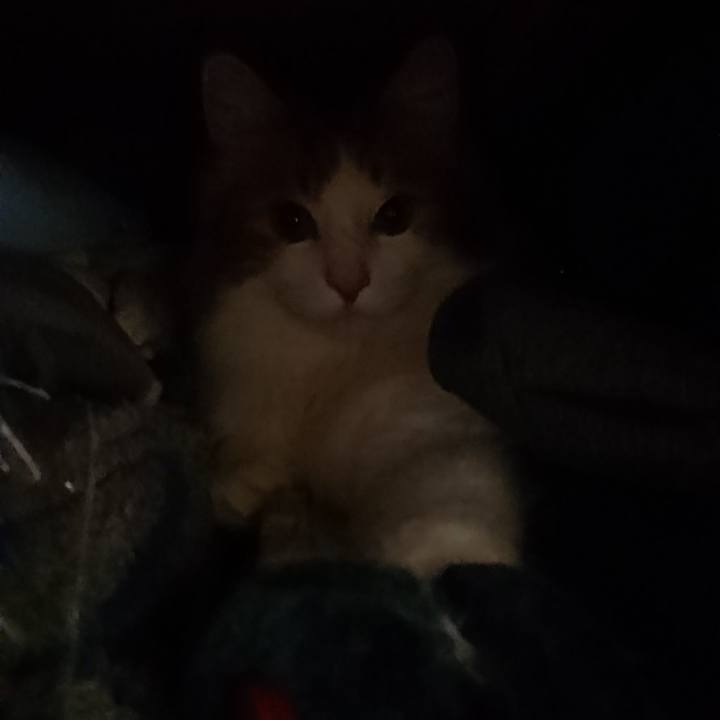 6abf1035 697c 4862 a909 e5a37092112d 1524808705270