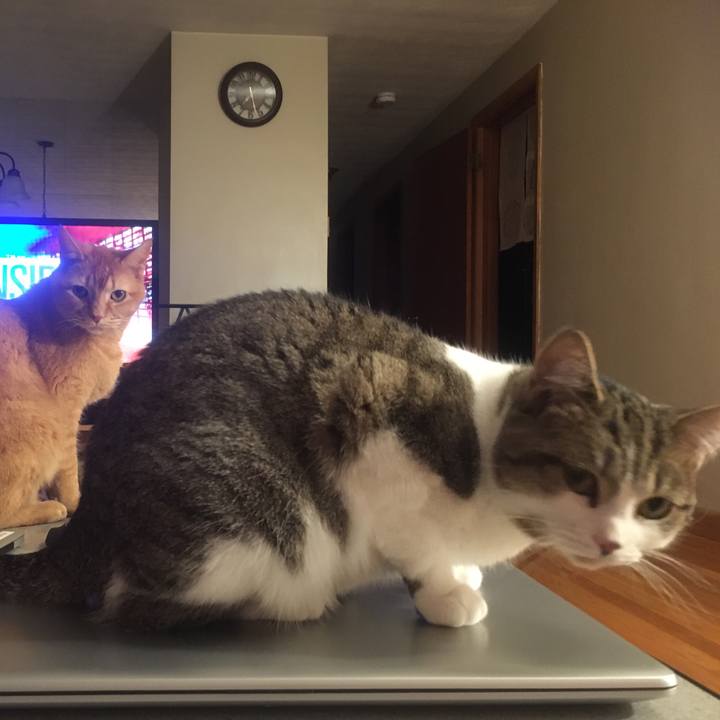 6abf2809 3e40 4bfc 9f83 9990257c92f1 1633130779399