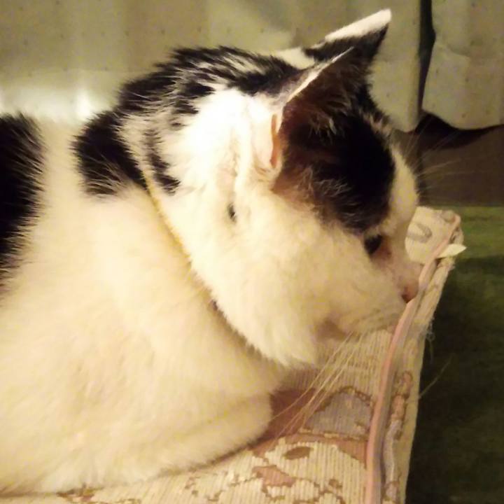 6abf47df 3454 4cee 9eb9 dfa6408225ef 1567006366526