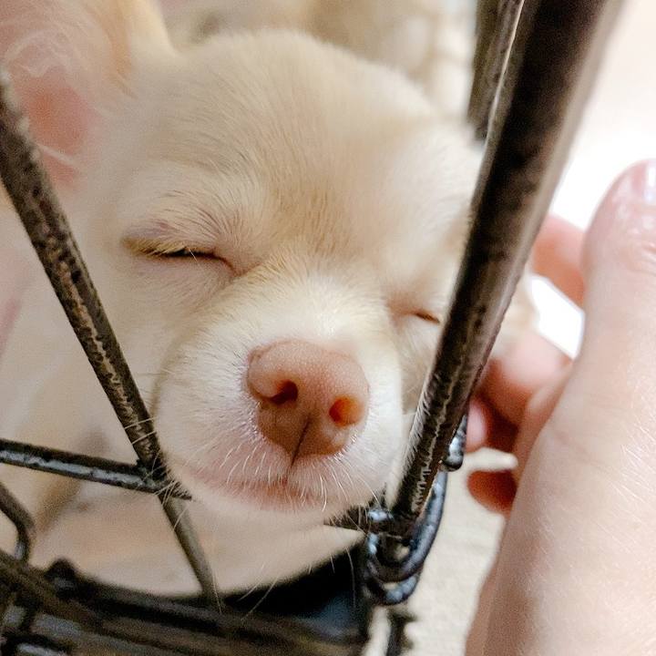 6abf4d07 c88d 4976 b6c6 53775e6eb5d7 1592403368018