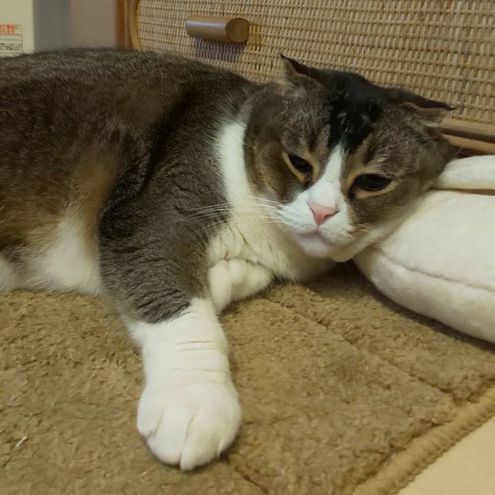 6abf5c83 bf50 4b7e 9634 64837318bda3 1587168859427