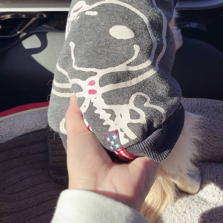 6abf5c93 94cc 41e1 962d c4dce7aa54c8 1737185810280