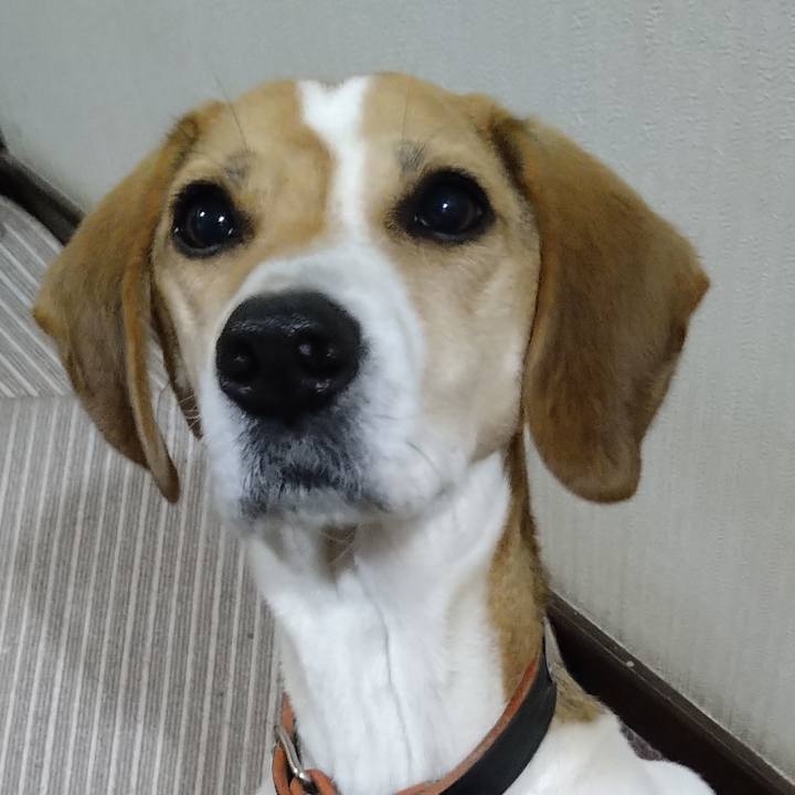 6abf633b 9b91 41b3 98f8 96783751a8d7 1640435789046