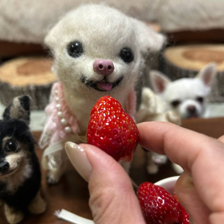 6abf783d f0f7 4365 96fb cdf44d1dca40 1773229131633