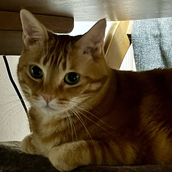 6abf8a2a 0cea 43ef 98f4 47d85abf3b1f 1709864957878