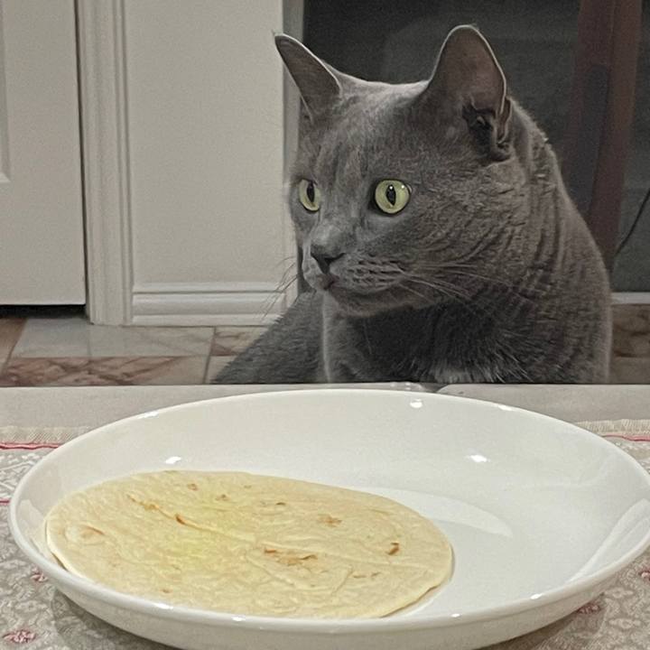 6abf9297 5b14 41cc a46c 7ed9158835b5 1702858932479